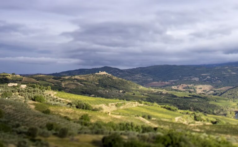 Ciacci Piccolomini d’Aragona