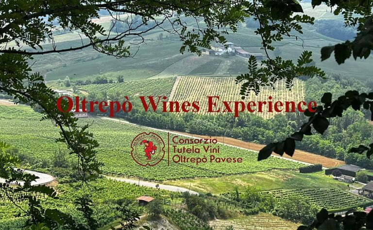 Oltrepò Wines Experience. A Palazzo Brancaccio