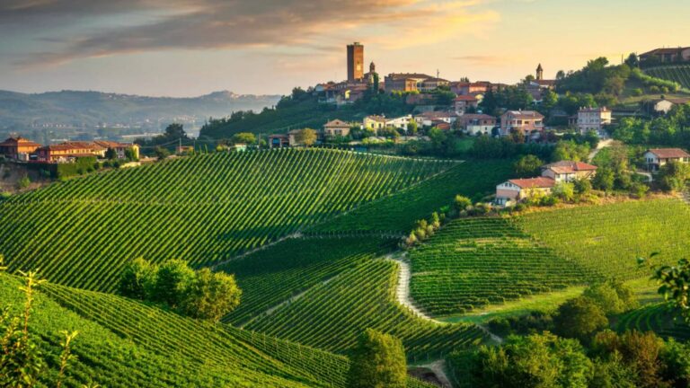 Barolo vs Barbaresco: due icone delle Langhe a confronto