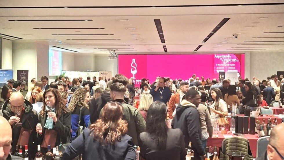 Immagine dell'evento Aspettando ViniAmo che anticipa l'evento ViniAmo in scena all'Hotel Cristoforo Colombo di Roma